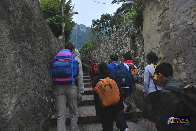 in cima..alle scale.JPG